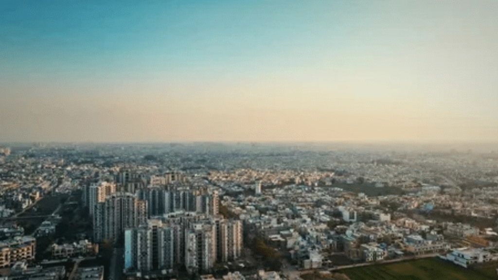 GMB Expert in Mohali