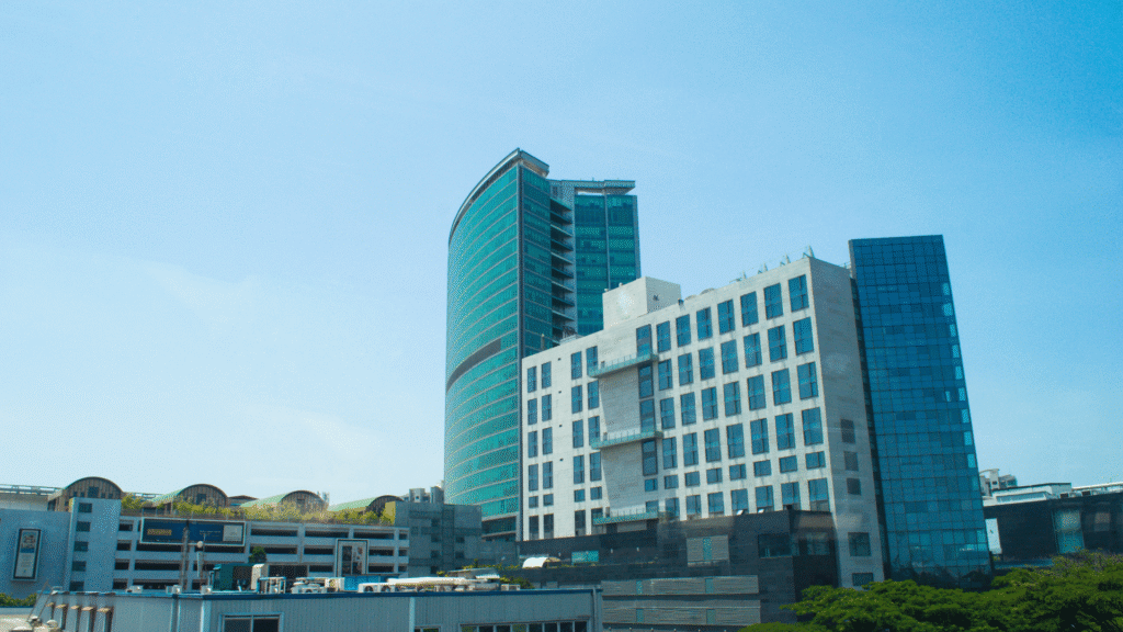 Google My Business Service in Bangalore GMB Expert, Maps SEO & Local SEO Solutions