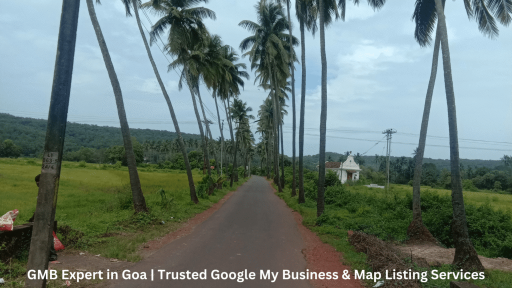 Google My Business Services in Goa