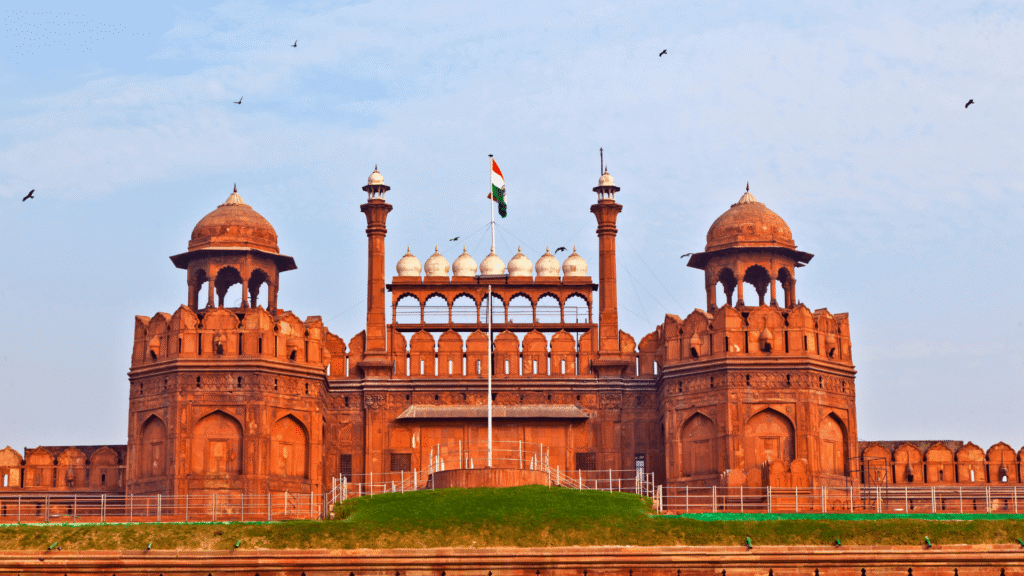 Trusted GMB Expert in Delhi, India